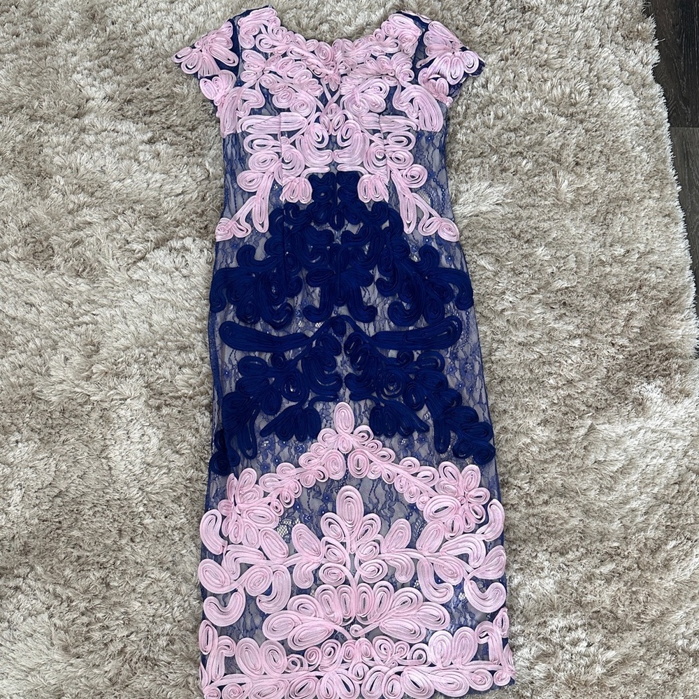 JS Collection size 8 Elegant Pink and Blue Lace Dress